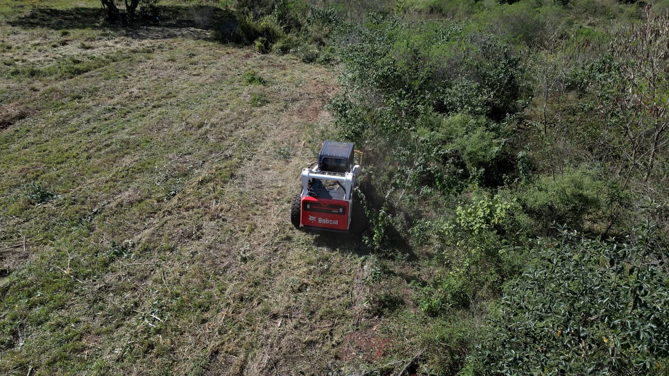 DJI_0001.00_33_45_26.Quadro098