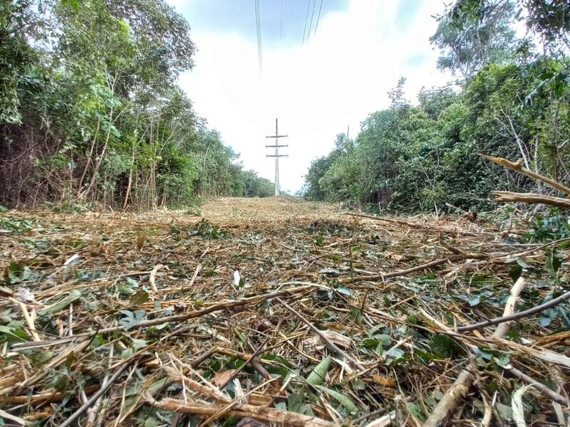 Imagem do WhatsApp de 2023-03-10 Ã (s) 08.56.46